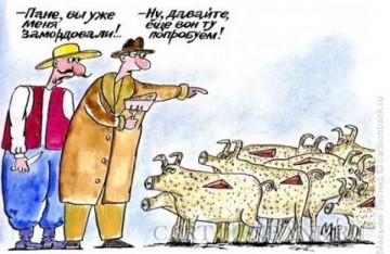 "Мыздобулы" в картинках. Смешных и не очень... 22.04.2017