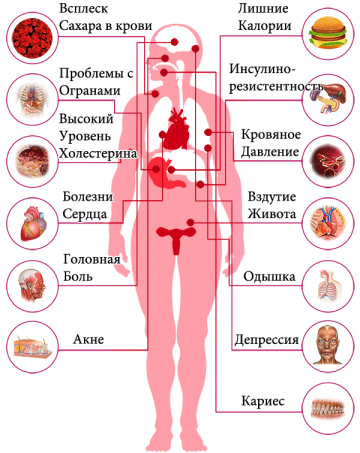 Теневой фаст-фуд: Минздрав внес законопроект запрета рекламы