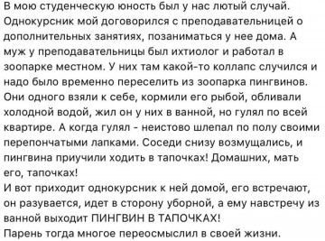 "Мыздобулы" в картинках. Смешных и не очень... 24.04.2017