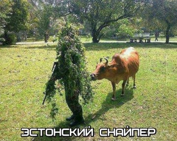 "Мыздобулы" в картинках. Смешных и не очень... 24.04.2017