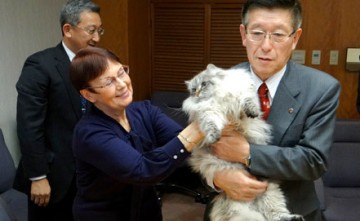 Сотрудничество РФ и Японии: дипломаты кот Мир и собака Мечта делают свое дело!