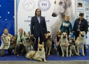 Абсурдные новости. 25 апреля 2017 года