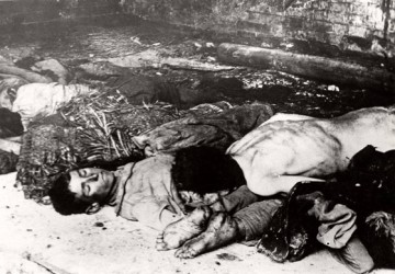 Голод в Поволжье (1921-1923 г.) - история в фотографиях