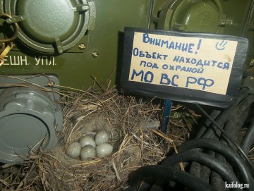 "Мыздобулы" в картинках. Смешных и не очень... 26.04.2017