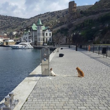 Спасибо, что мы больше не кiти