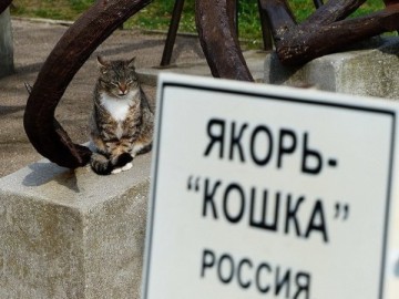 Спасибо, что мы больше не кiти
