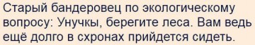 "Мыздобулы" в картинках. Смешных и не очень... 29-04-2017