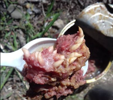 Похоже хрюмбергов начали пускать не только на органы, но и на сухпайки для ВСУ