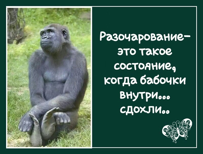 Как фанера над Парижем?! Как фанера над Парижем?!