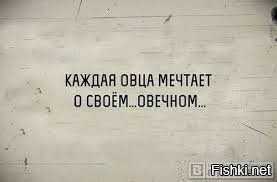 "Мыздобулы" в картинках. Смешных и не очень... 13.05.2017