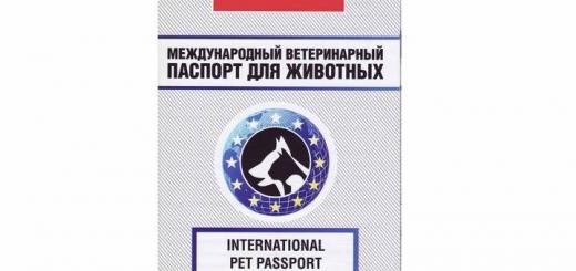 Культурная программа на каждый вечер
