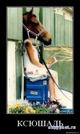 "Мыздобулы" в картинках. Смешных и не очень... 24.05.2017 "Мыздобулы" в картинках. Смешных и не очень... 24.05.2017