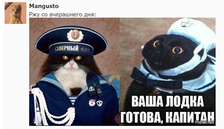 "Мыздобулы" в картинках. Смешных и не очень... 24.05.2017 "Мыздобулы" в картинках. Смешных и не очень... 24.05.2017