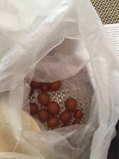 Доколе Киев будет грабить "Янтарную Народную Республику"? На Львовщине задержали контрабанду янтаря в ЕС Доколе Киев будет грабить "Янтарную Народную Республику"? На Львовщине задержали контрабанду янтаря в ЕС