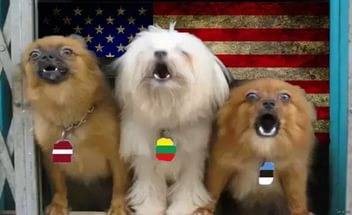 "Мыздобулы" в картинках. Смешных и не очень... 30.05.2017 "Мыздобулы" в картинках. Смешных и не очень... 30.05.2017