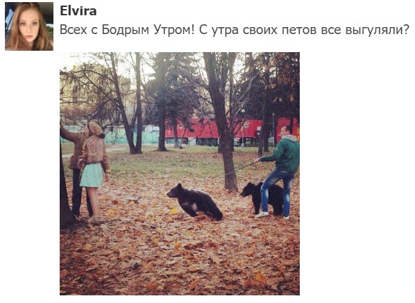 "Мыздобулы" в картинках. Смешных и не очень... 30.05.2017 "Мыздобулы" в картинках. Смешных и не очень... 30.05.2017