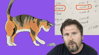 Это ппц! Анатолий Шарий. Канал Порошенко слил мои личные данные в эфире