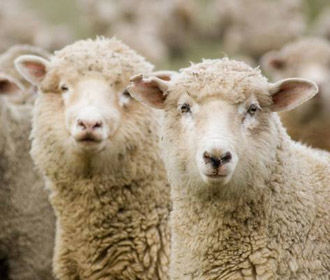 Цивилизация зовет. Александр Зубченко