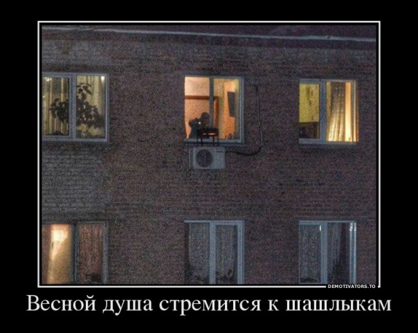 "Мыздобулы" в картинках. Смешных и не очень... 03.05.2017
