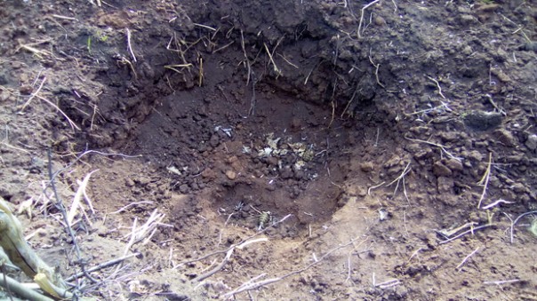 Сводка от НМ ЛНР 3 мая 2017. Заявление А. Марочко о попытке проникновения ДРГ в Республику. Диверсионная группа ВСУ уничтожена