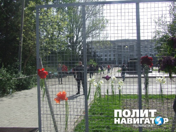 Крысы. Оккупация. Одесса вышла