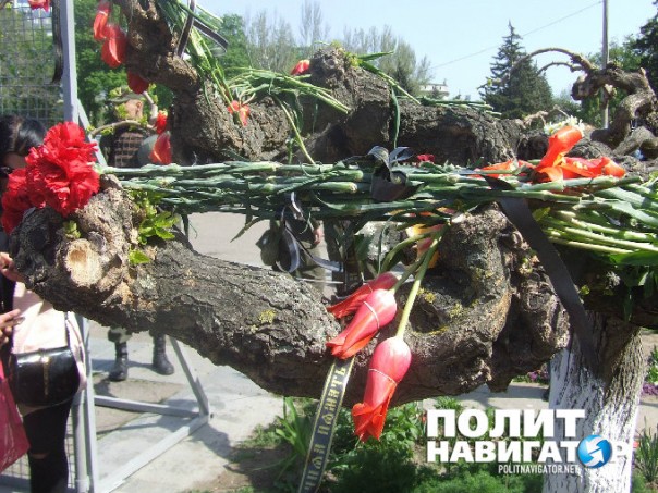 Крысы. Оккупация. Одесса вышла