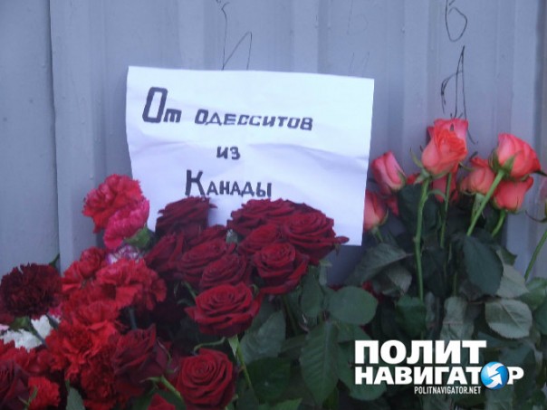 Крысы. Оккупация. Одесса вышла