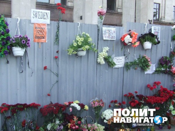 Крысы. Оккупация. Одесса вышла