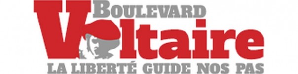 Boulevard Voltaire: Марин Ле Пен отстаёт от Макрона на несколько десятых процента Boulevard Voltaire: Марин Ле Пен отстаёт от Макрона на несколько десятых процента