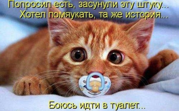 "Мыздобулы" в картинках. Смешных и не очень... 05.05.2017