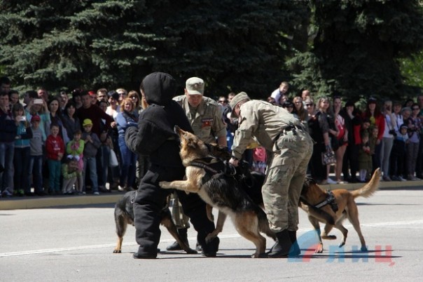 Глава ЛНР поздравил сотрудников МВД Республики с Днем Победы и вручил краповые береты Глава ЛНР поздравил сотрудников МВД Республики с Днем Победы и вручил краповые береты