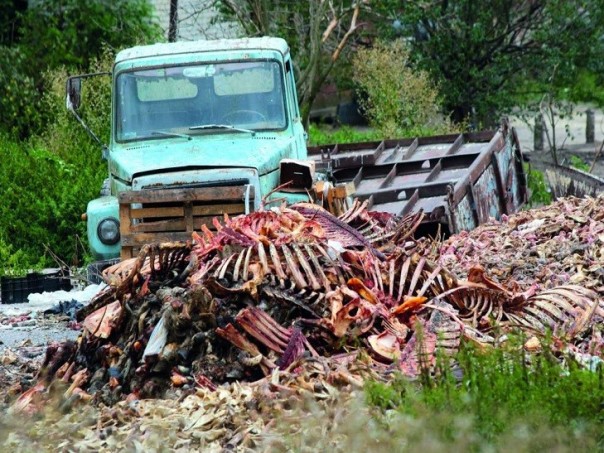 Промышленность Украины в упадке: Укрветсанзавод брошен на произвол судьбы