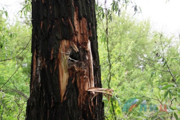 Сводка от НМ ЛНР 10 мая 2017. Правоохранители ЛНР зафиксировали последствия обстрелов Фрунзе укрофашистами на 9 Мая