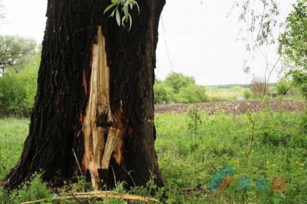 Сводка от НМ ЛНР 10 мая 2017. Правоохранители ЛНР зафиксировали последствия обстрелов Фрунзе укрофашистами на 9 Мая