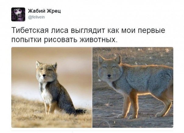 "Мыздобулы" в картинках. Смешных и не очень... 13.05.2017