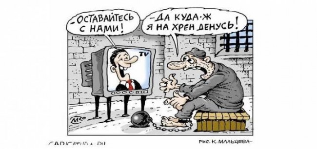 Культурная программа на каждый вечер