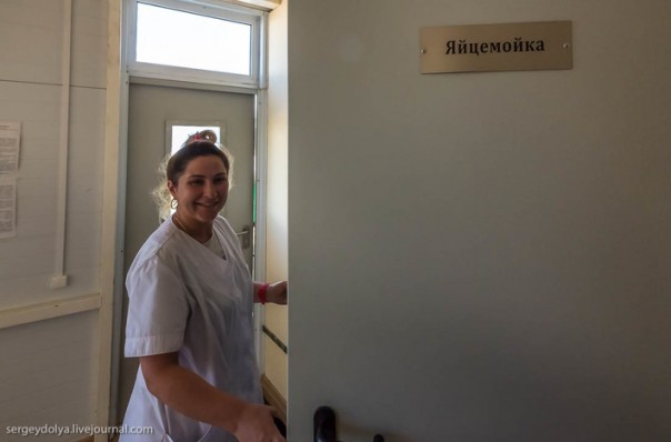 Крымский мост. Ответы на неудобные вопросы Крымский мост. Ответы на неудобные вопросы