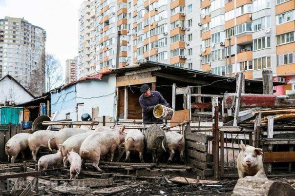 Киевская ночь перед дождём на рассвете