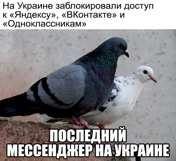 Порошенко подписал указ о блокировке российских сайтов, 1С, Яндекс, Касперского, ВК, Одноклассники… Порошенко подписал указ о блокировке российских сайтов, 1С, Яндекс, Касперского, ВК, Одноклассники…