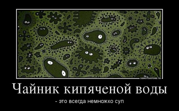 "Мыздобулы" в картинках. Смешных и не очень... 19.05.2017