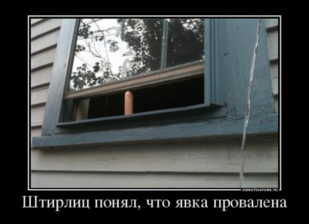 "Мыздобулы" в картинках. Смешных и не очень... 19.05.2017