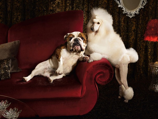 Чем социализм отличается от капитализма. В стопятьсотый раз.