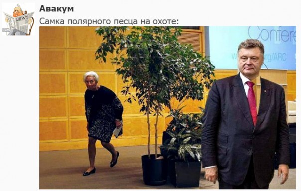 "Мыздобулы" в картинках. Смешных и не очень... 21.05.2017