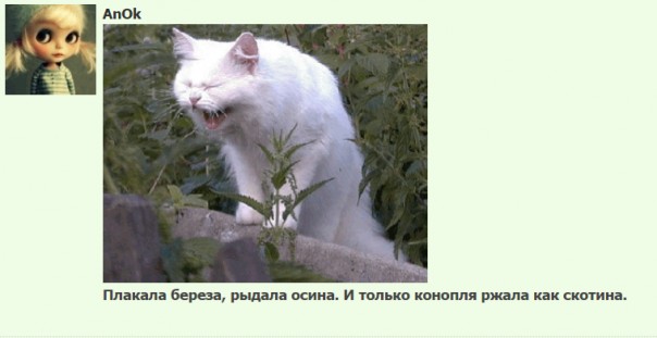 "Мыздобулы" в картинках. Смешных и не очень... 21.05.2017