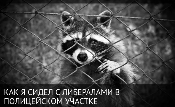 Как я сидел с либералами в полицейском участке.