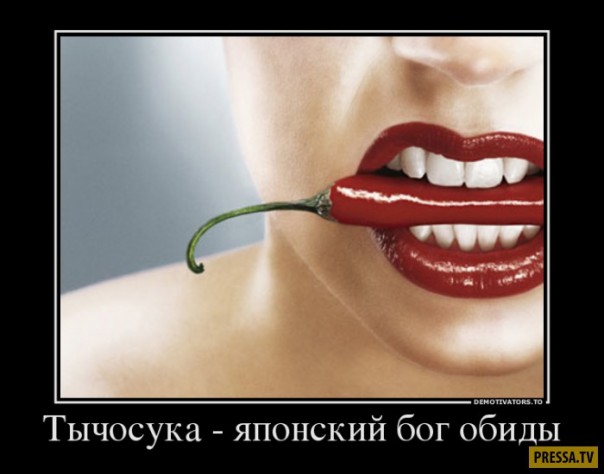 "Мыздобулы" в картинках. Смешных и не очень... 24.05.2017 "Мыздобулы" в картинках. Смешных и не очень... 24.05.2017