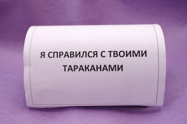 Мои тараканы Мои тараканы