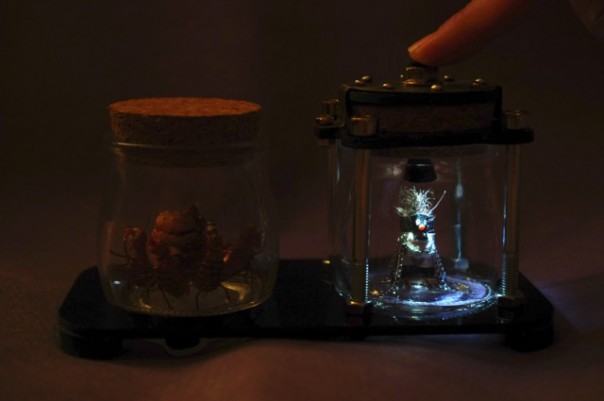 Мои тараканы