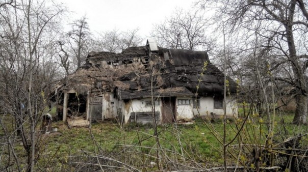 Известные врачи и журналисты бьют тревогу: Это геноцид украинской нации! 