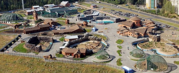 История о переезде из Одессы в Россию История о переезде из Одессы в Россию